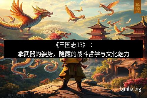 《三国志13》：拿武器的姿势，隐藏的战斗哲学与文化魅力